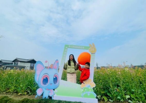 千亩花海奏响乡村振兴乐章——成都郫都蝴蝶村田园菜花节盛大启幕