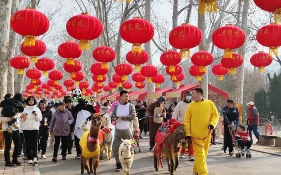 济南公园景区元旦活动指南，带你度过一个多彩假期
