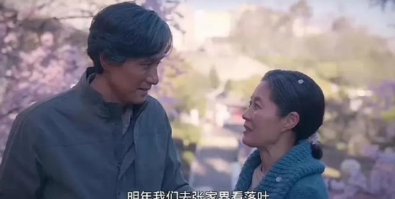 张家界为何“ST”？深度解析旅游上市公司的真相