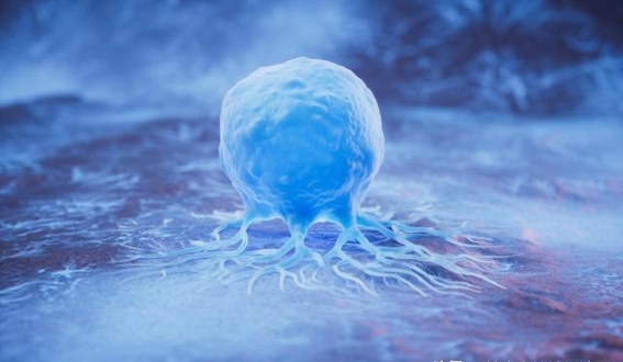 免疫系统的新突破：调节性T细胞如何改变癌症与自身免疫治疗