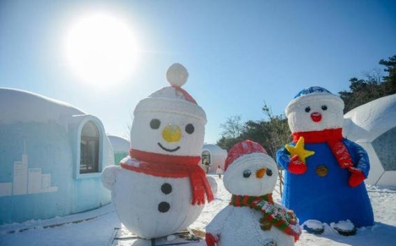 在齐鲁雪乡遇见春天，跑马岭冬日花园的奇幻之旅