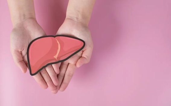 春季养肝：从饮食到运动，全方位呵护你的肝脏健康