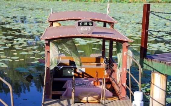 青春游记，冬日湿地的温暖记忆