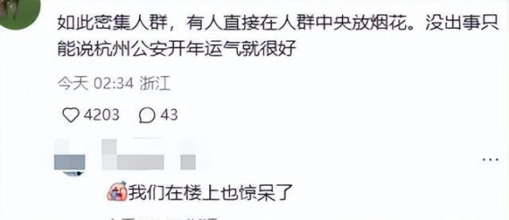 杭州西湖跨年夜的烟花事件：一场不该发生的危险举动