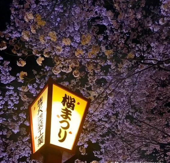 好的，以下是按照您的要求修改后的文本：