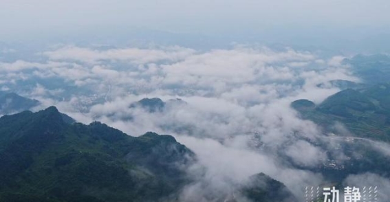 走进贵定甘溪森林公园，探寻绿色生态的秘密