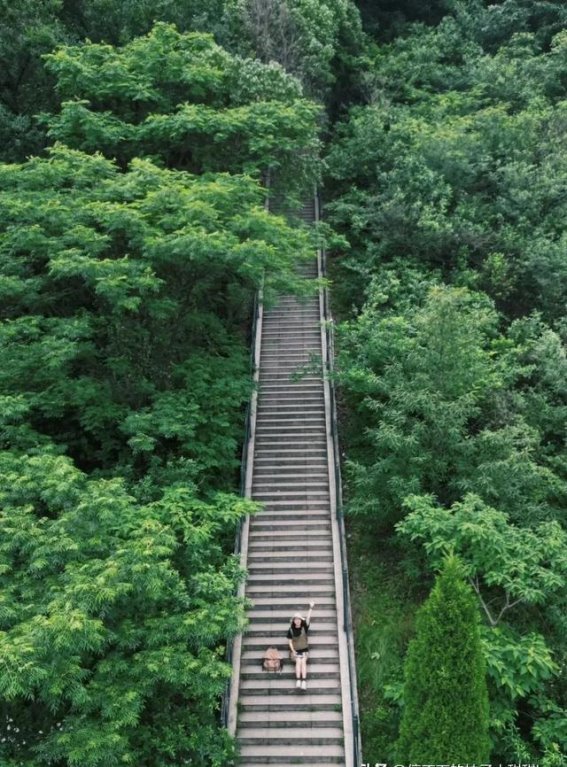 春天的武汉，16条最美徒步路线等你来探索