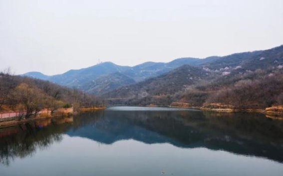 京西绿道：春日漫游在石景山的花海与古桥之间