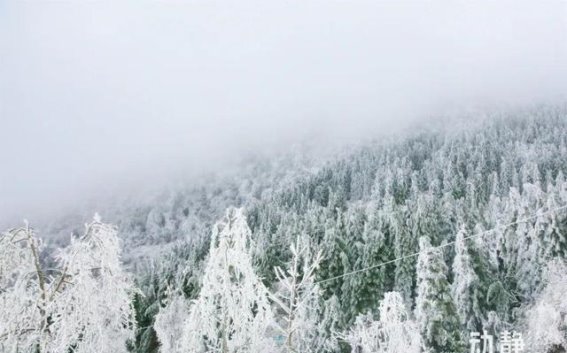 七星关的冰雪奇观，灵峰山上的雾凇梦境