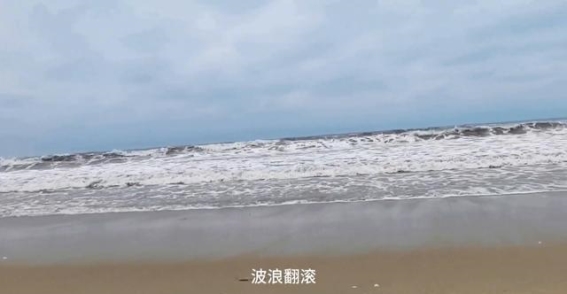 金海岸春潮涌动，吴川吴阳的自然与人文之韵