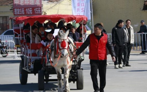 天津宝坻“马车游”：全域乡村体验，开启乡村振兴新篇章