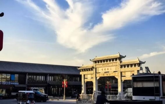 邯郸春光，花海邀你共赴春日之约