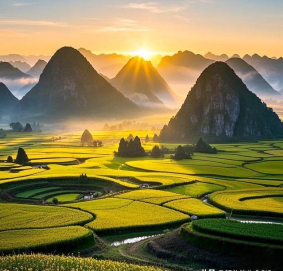 罗平金色花海，藏着人间绝美浪漫