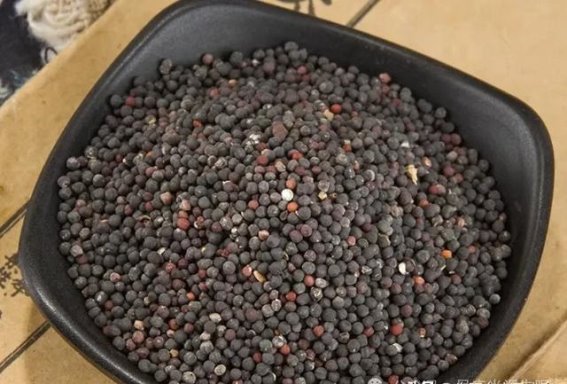 失眠困扰？试试这两味药，一通一补，轻松入睡