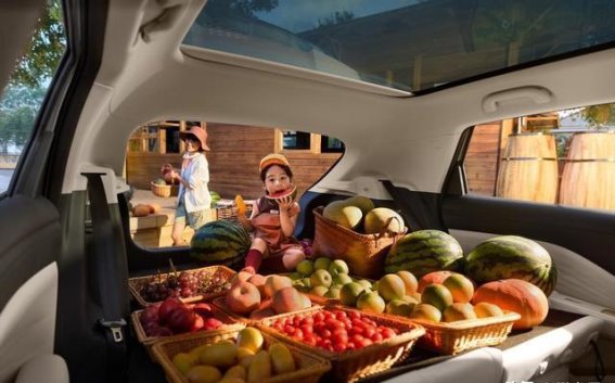 极狐T1：开创A0级纯电新纪元，打造精品车的全新标准