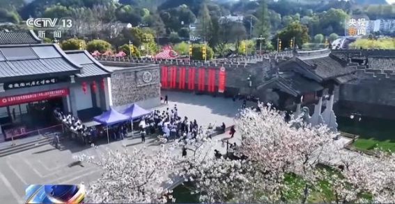 清明假期民俗活动新风尚——春日里的传统与现代交响