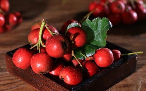 山楂陈皮，双管齐下喝出好气色