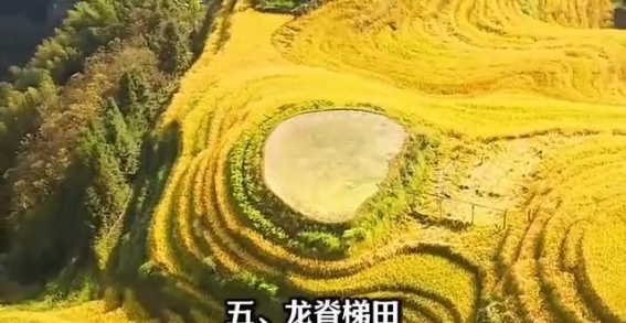 探索桂林的十大自然奇观与文化瑰宝