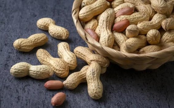 常吃花生，改善健康的潜力不容忽视