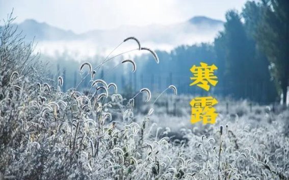 寒露节气养生须知：三事避免，两样食补