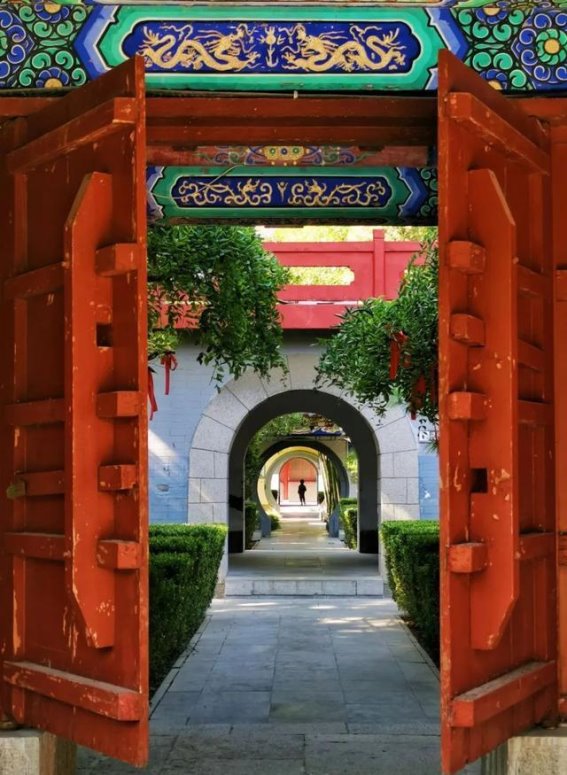春满临淄：用镜头定格最美春光