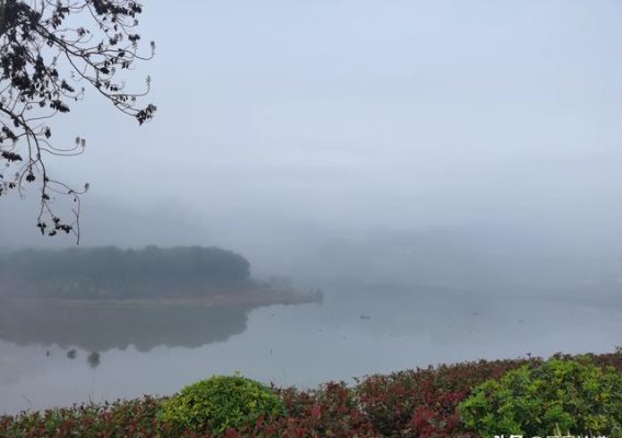 中医如何突破发展的桎梏