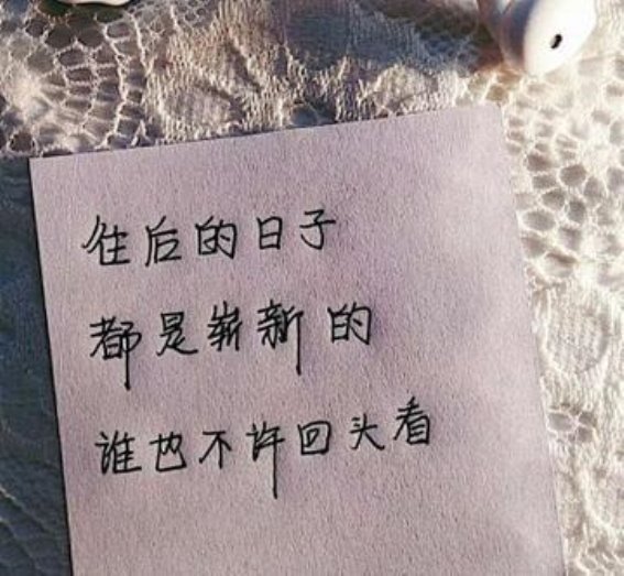 退休后的旅行新选择：从跟团游到悠闲旅居生活