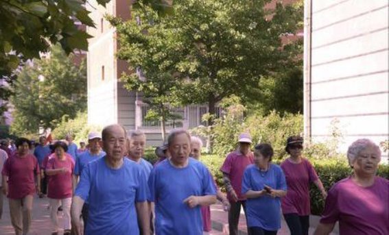 用药时间的重要性：不仅仅是药物吸收的问题