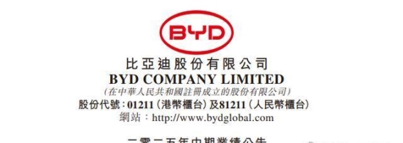 比亚迪2025年上半年业绩分析：增长中的隐忧与潜力