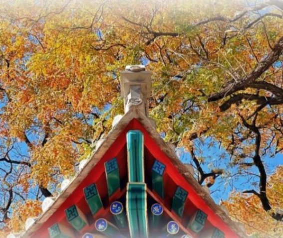 在模式口老街中探寻中式美学的永恒魅力