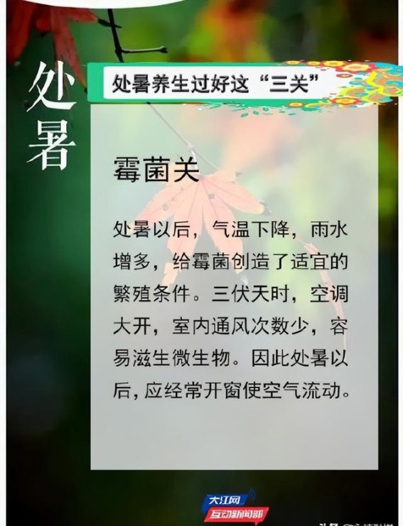 处暑养生：如何在季节交替中守护健康