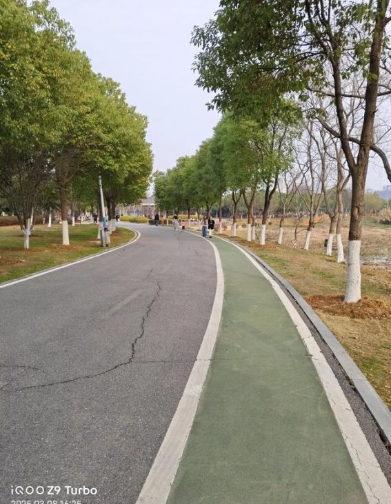 春日温情，汤湖公园的三八节庆