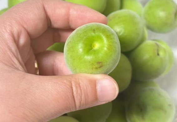 芒种时节，提醒家人：多吃3瓜2果，开胃生津，安然入夏