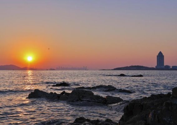 青岛春季赶海指南：潮退后的海鲜探险之旅