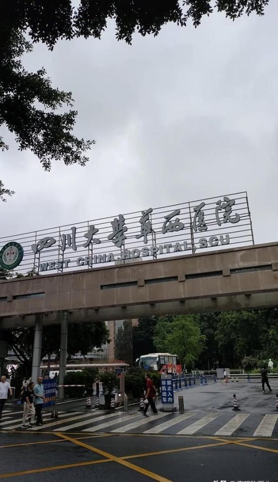 房颤治疗的转机：从药物到脉冲消融的历程