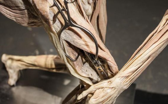 50岁后开始锻炼，真的来得及吗？了解身体的潜力与科学锻炼的益处