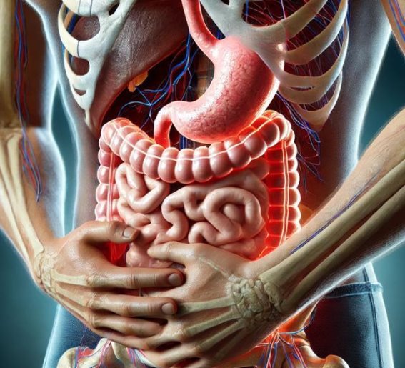 警惕！胃部炎症悄悄逼近，持续胀满与反酸是警示信号