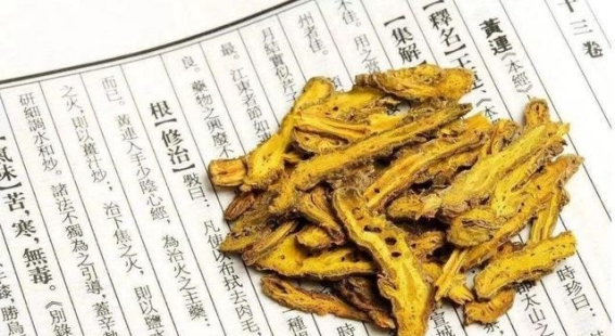 为何“三黄”药物对牛皮癣的治疗效果不如预期？