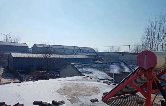 十月十三，雪的预兆与冬季的秘密