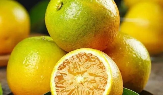 中秋养生：在月光下守护健康与幸福