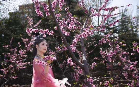 李官镇第三届春季文化旅游节：在桃花源中感受文化的盛宴