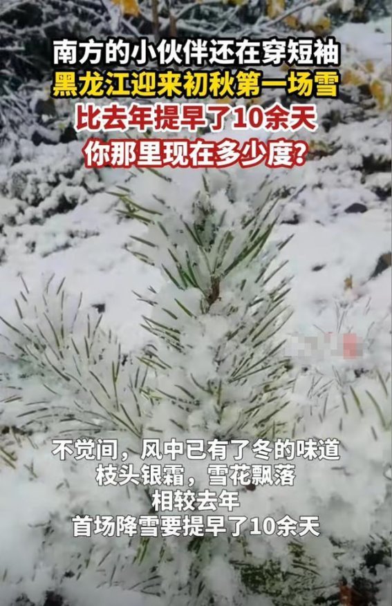 南北气候对比：雪花飘洒黑龙江与南方炙热的季节故事