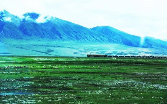 青藏高原之火车穿越：变迁中的挣扎与情感碰撞