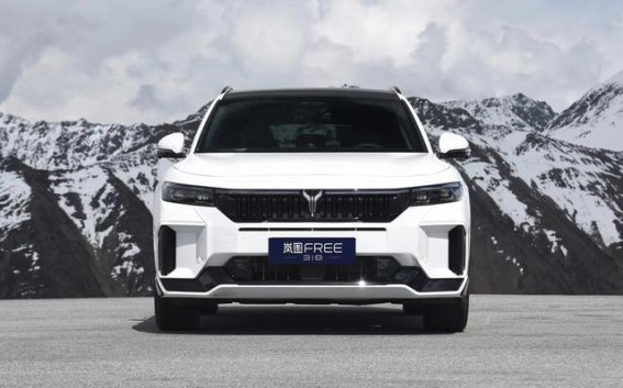 22.89万元起，百公里加速4.5秒，配置丰富的新能源SUV岚图FREE 318值得关注