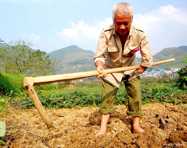 89岁老人稻田施肥栽倒，路过民警发现后扶起，网友：89岁还在种地