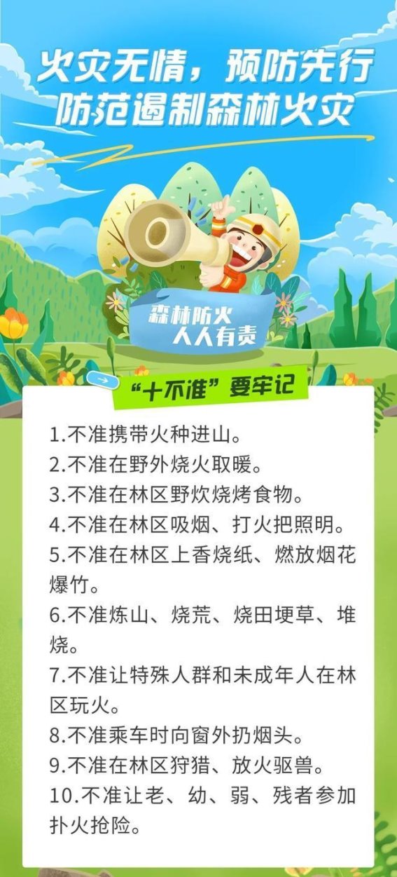 清明踏青寻根，盘龙城迎来文化与休闲的交融