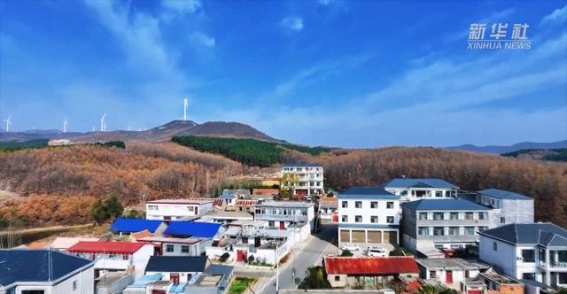 竹沟镇的崛起：小提琴之乡的梦想与现实