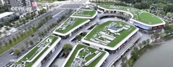 深圳“公园+商业”新格局：自然与购物的完美融合