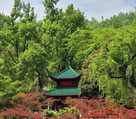 探访中国最具历史与自然魅力的6大AAAAA景区，70岁时一定要去一次！