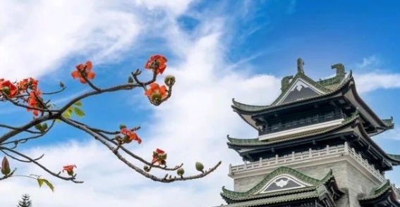 荔湾区：承载历史与文化的广州心脏